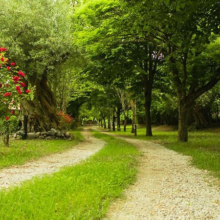 Villa Ciclopark Morano Calabro Extérieur photo