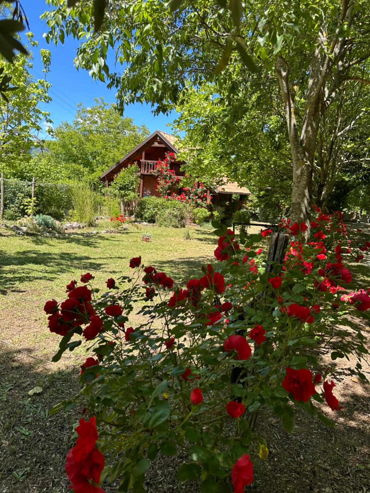 Villa Ciclopark Morano Calabro Extérieur photo