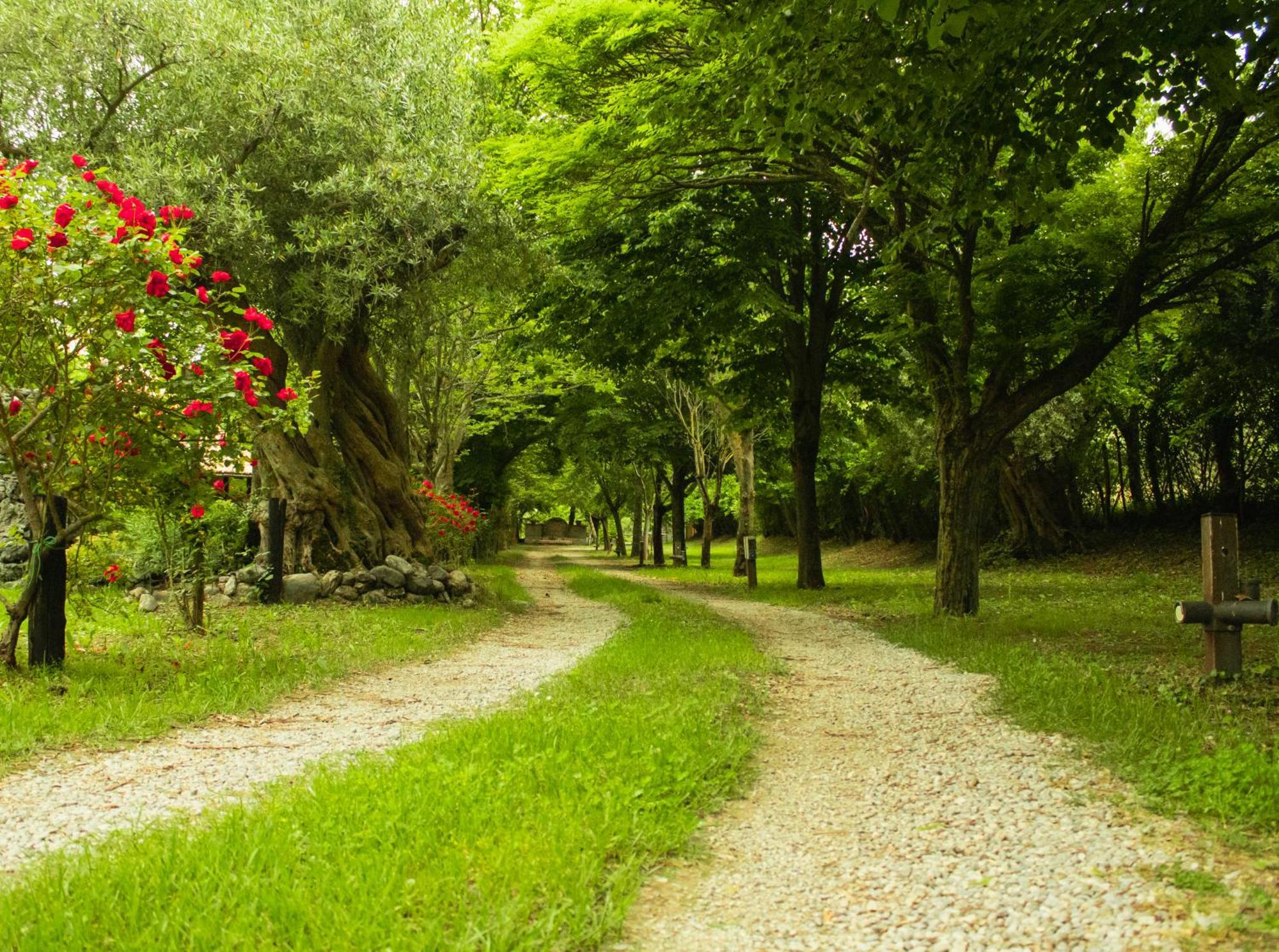 Villa Ciclopark Morano Calabro Extérieur photo